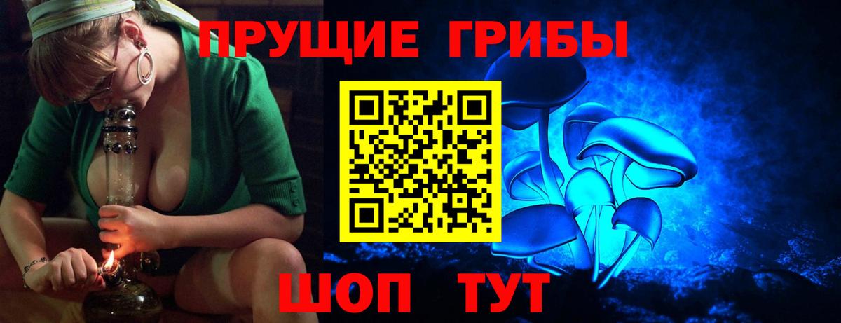 Псилоцибиновые грибы GOLDEN TEACHER Сосновоборск